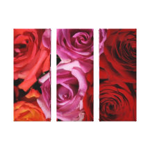 Les roses l'ont toiles tendues