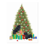 Les Scotties assortissent les cadeaux de Noël Carte Postale