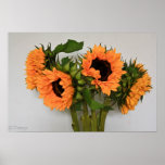 Les tournesols de Picasso Posters