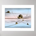 Les voies d'escargot posters