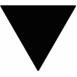 Lesbian Black Triangle photo sculptures