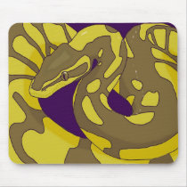 Lesser Ball Python usepad P