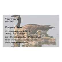 Lesser Canada Goose Brood Business Card Templates