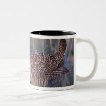 Lesser Prairie-Chicken, Tympanuchus Coffee Mug