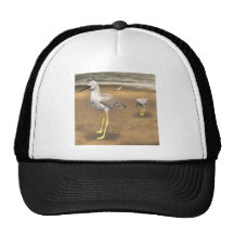 Lesser Yellowlegs Hat