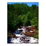 Lester River Waterfalls Postcard