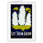Let Flower Grow 1938 WPA cards