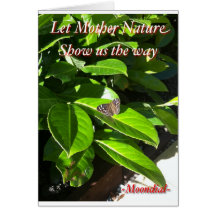 Let Nature Show Us The Way Cards
