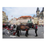 Let´s go sightseeing in Prague Postcard