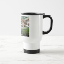 Let sleeping cats lie... coffee mugs