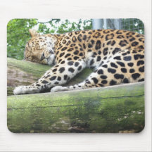 Let sleeping cats lie... mouse mats