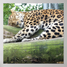 Let Sleeping Cats Lie... Print