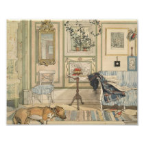 Let Sleeping Dogs Lie Swedish Watercolor Art Photo