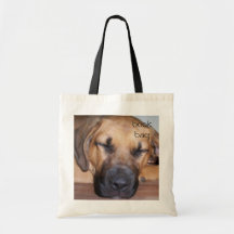 Let Sleeping Dogs Sleep Oil Painting Book Bag