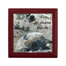let sleeping hogs lie gift box