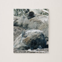 let sleeping hogs lie jigsaw puzzles