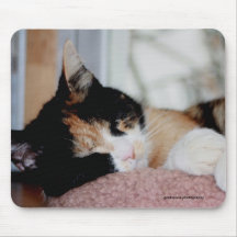 Let Sleeping Kitties Lie Mousepads