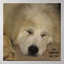 Let sleeping pyrs lie print