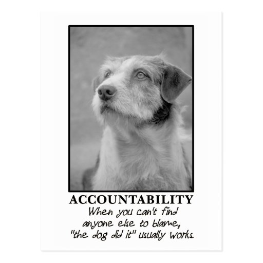 Let the dog take the blame for your farts postcards
