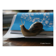 Let the Sun Shine! Card