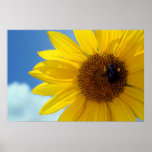 Let The Sun Shine Print
