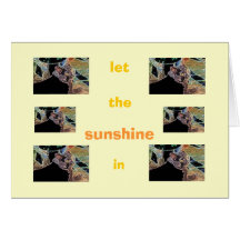 let the Sunshine in Greeting Cards