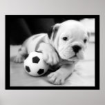 "Let's Play Soccer" English Bulldog Posters