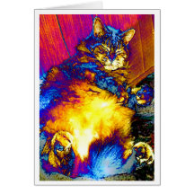 LetSleepingCatsLie Card