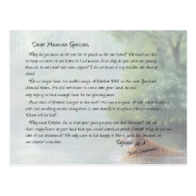 Letter from the Wild Postcard