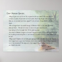 Letter from the Wild Posters