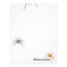 Letterhead - Spiders