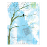 Letters From Home Postcard