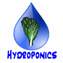 Lettuce blue text blue drop hydroponics design acrylic cut out