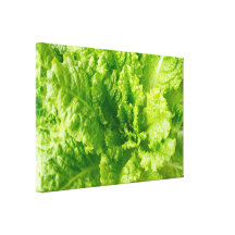 Lettuce Stretched Canvas Prints