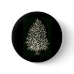 Leucosolenia Button
