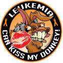 Leukaemia Can Kiss My Donkey photo sculptures