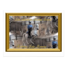 Levade with rider Postcard