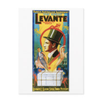 Levante ~ The Great Vintage Magic Act