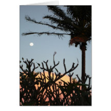 Lever de la lune de Frangipani Carte