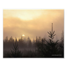 lever de soleil 8x10 brumeux dans le nord-ouest Pa Photographies D’art