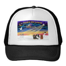 Lever de soleil de Christgmas - le Roi cavalier Ch Casquette