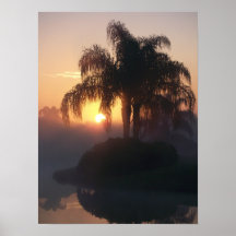 lever de soleil de la Floride Affiche