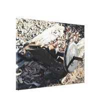 Lever For Rail Switch Stretched Canvas Prints