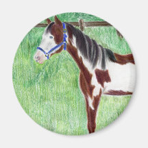 Levi Paint Horse Magnet