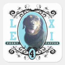 lexi stickers