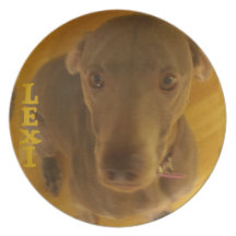 "Lexi's Plate"