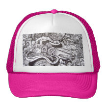 Lézard Casquette