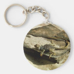 Lézard de collard porte-clef