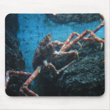 lg. saltwater crab mouse mat