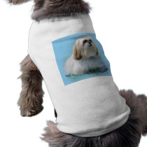 Lhasa Apso
